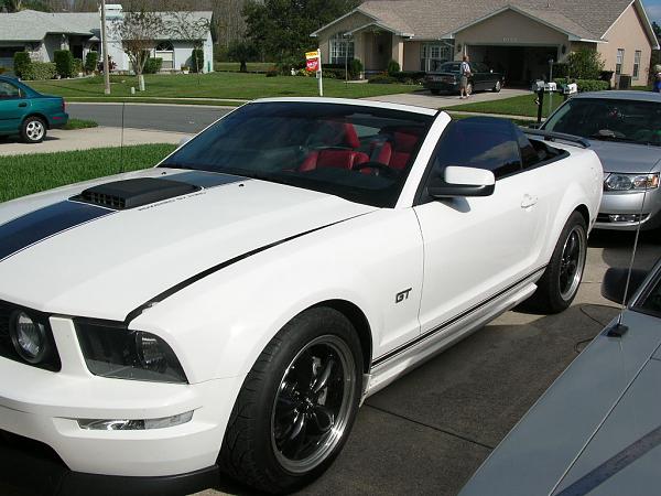 Ponies on The Run!-dscn4661.jpg