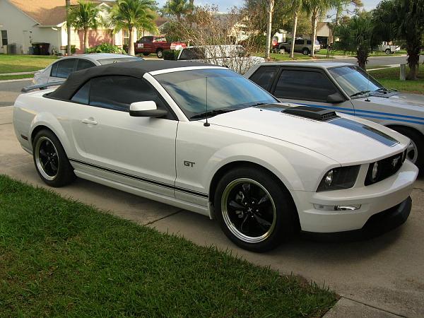 Ponies on The Run!-dscn4664.jpg