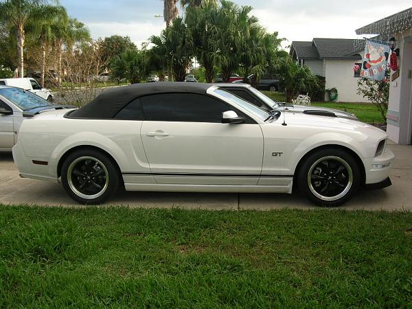 Ponies on The Run!-dscn4665.jpg