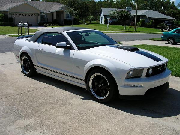 Ponies on The Run!-dscn3666r.jpg