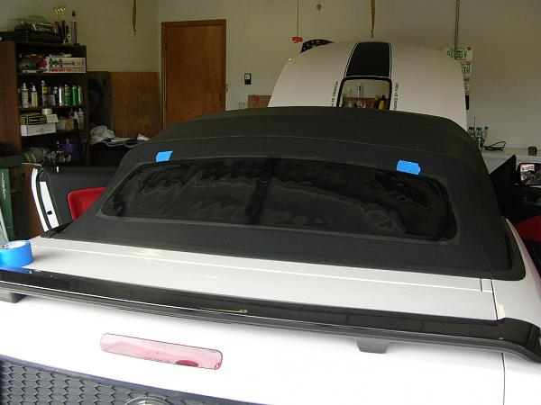 Ponies on The Run!-dscn4678.jpg