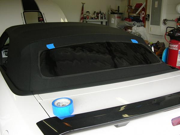 Ponies on The Run!-dscn4679.jpg