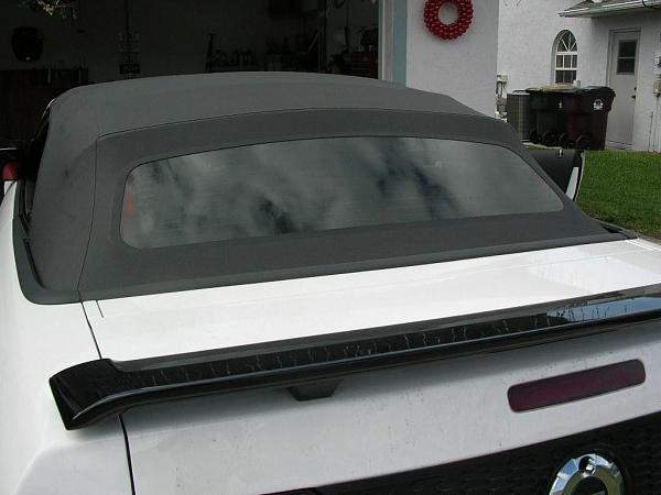 Ponies on The Run!-dscn4680.jpg