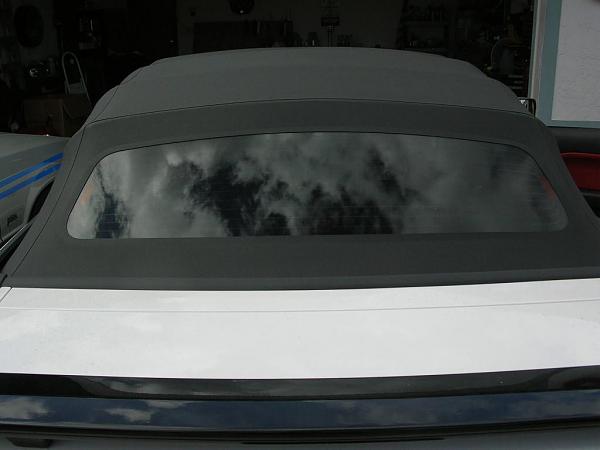 Ponies on The Run!-dscn4681.jpg