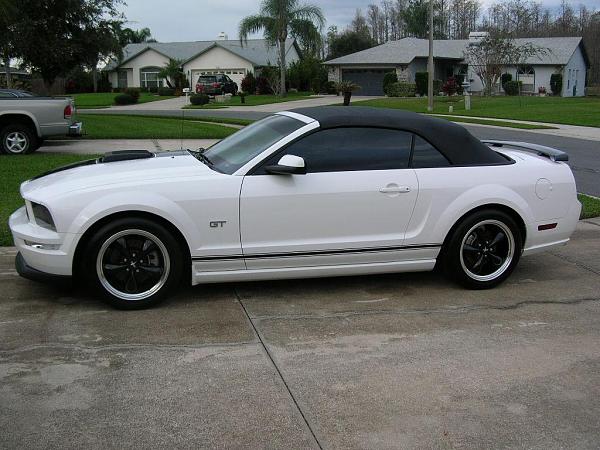 Ponies on The Run!-dscn4690.jpg