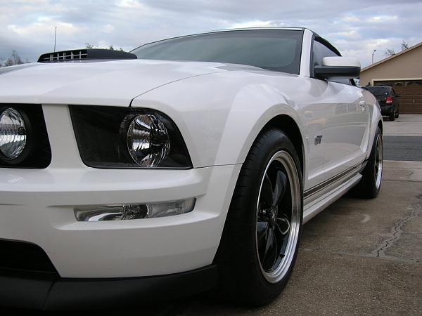 Ponies on The Run!-dscn4696.jpg