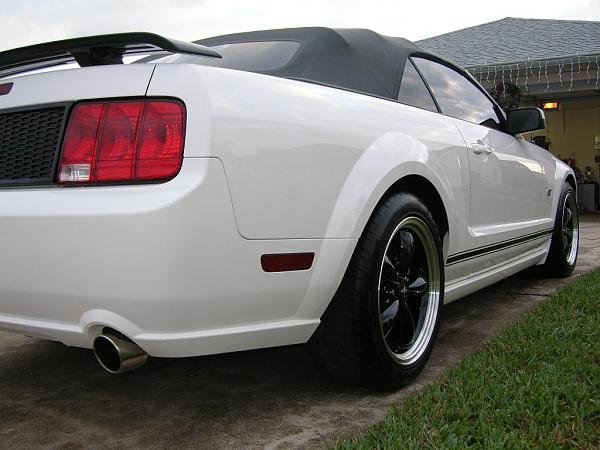 Ponies on The Run!-dscn4699.jpg