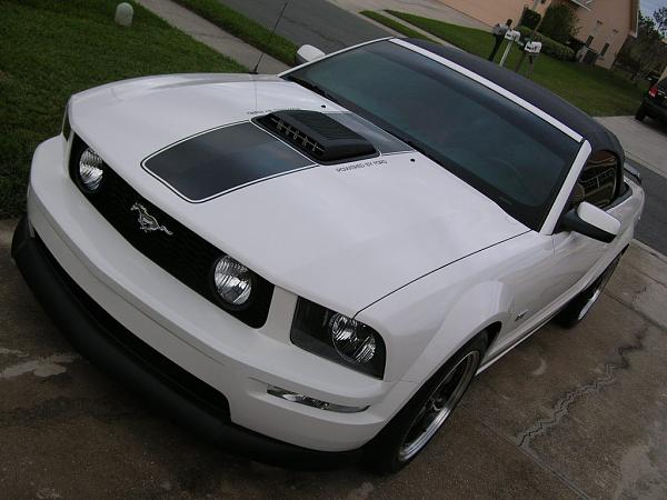 Ponies on The Run!-dscn4704.jpg