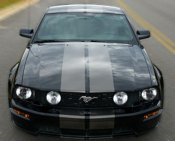 Ponies on The Run!-dk-charcoal-metallic.jpg