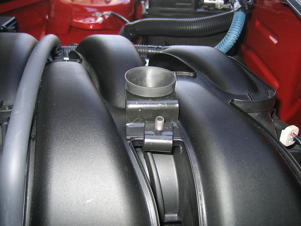 Ponies on The Run!-img_1067.jpg