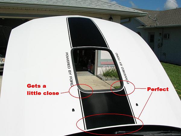 Ponies on The Run!-dscn3677b.jpg