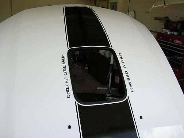 Ponies on The Run!-dscn3690.jpg