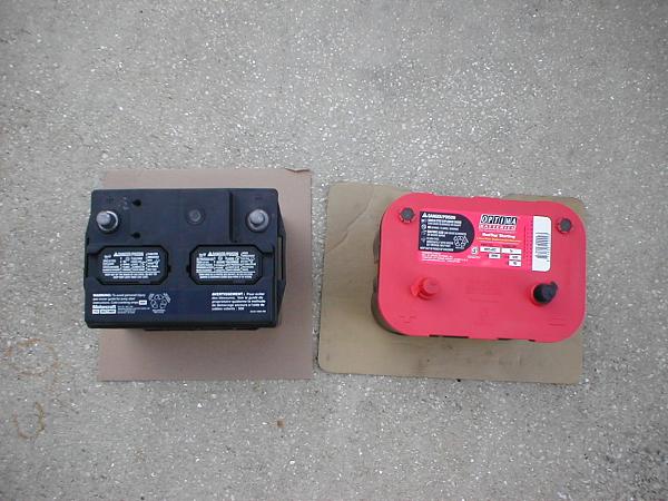 Ponies on The Run!-p1010203.jpg