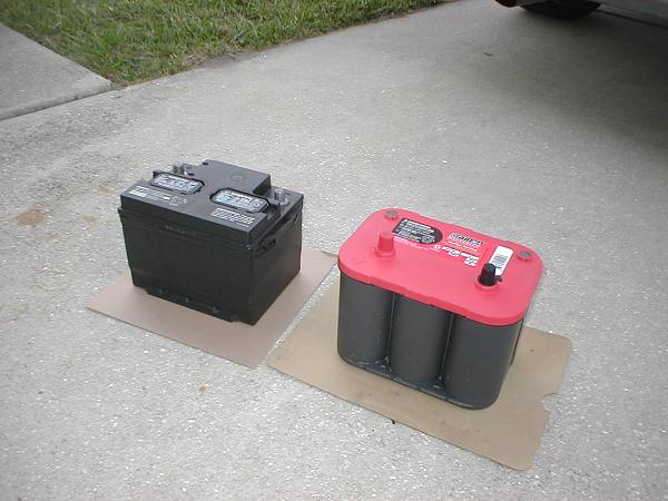 Ponies on The Run!-p1010204.jpg