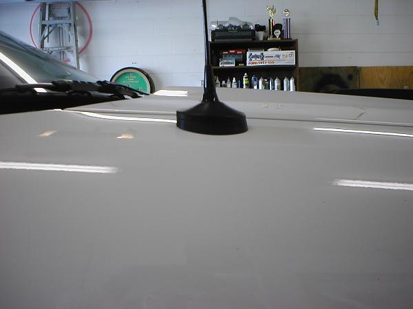 Ponies on The Run!-p1010205.jpg