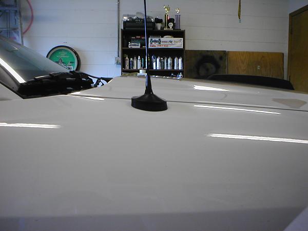 Ponies on The Run!-p1010210.jpg