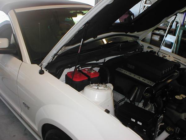 Ponies on The Run!-p1010207.jpg