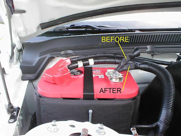 Ponies on The Run!-p1010217b.jpg