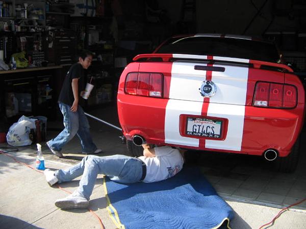 Ponies on The Run!-img_2302.jpg