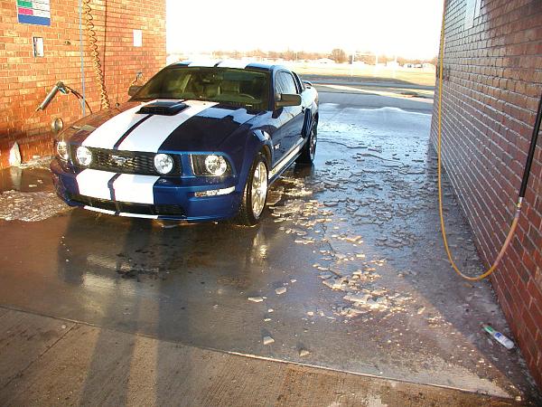 Ponies on The Run!-coldcarwash.jpg