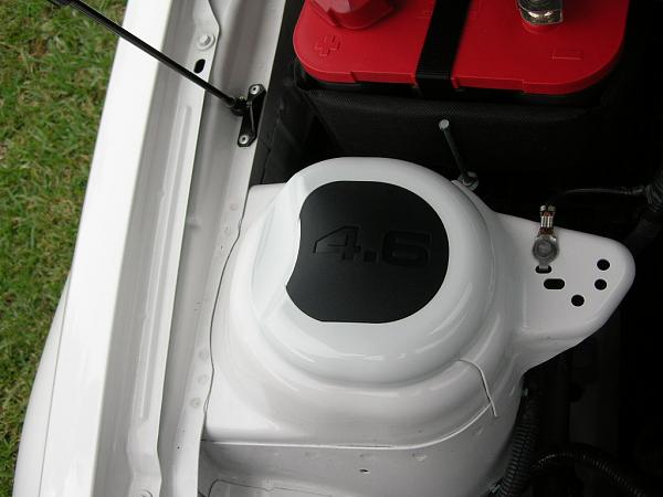 Ponies on The Run!-dscn4991.jpg