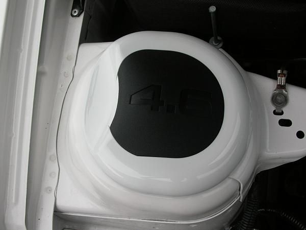 Ponies on The Run!-dscn4992.jpg