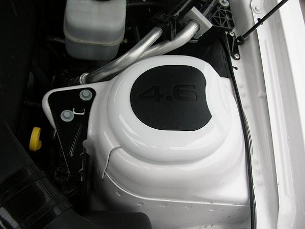 Ponies on The Run!-dscn4993.jpg