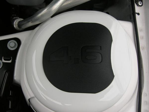 Ponies on The Run!-dscn4994.jpg