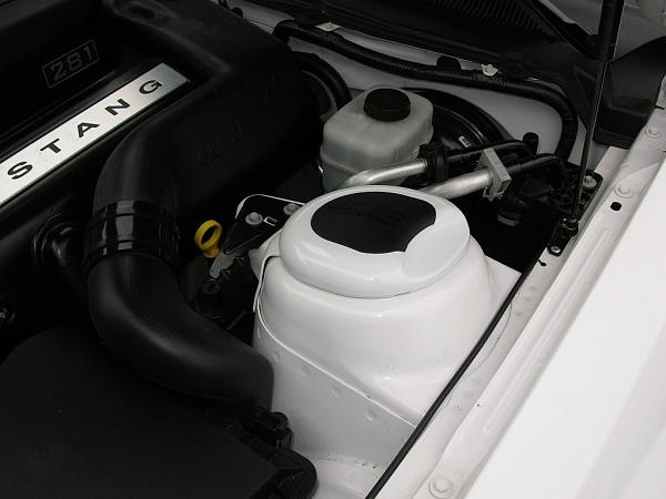 Ponies on The Run!-dscn4997.jpg