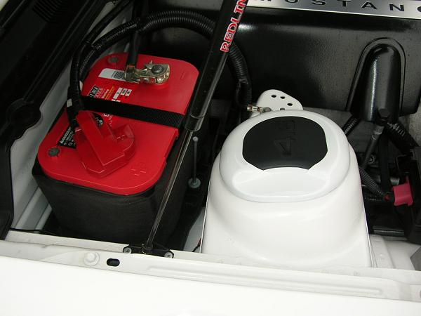 Ponies on The Run!-dscn4998.jpg