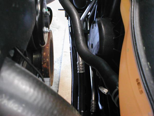 Ponies on The Run!-p1010225.jpg