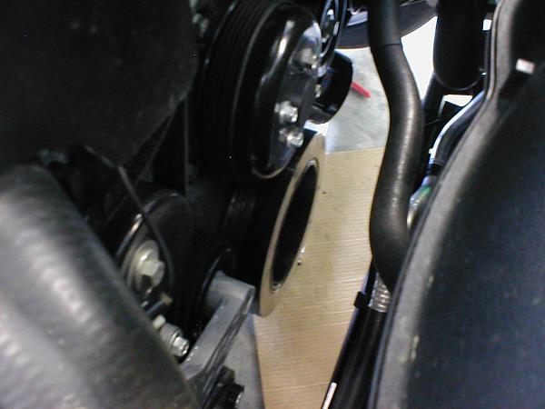 Ponies on The Run!-copy-p1010241.jpg