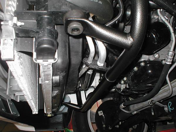 Ponies on The Run!-p1010235.jpg