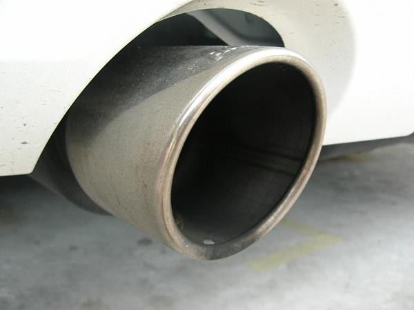 Ponies on The Run!-dscn5033.jpg