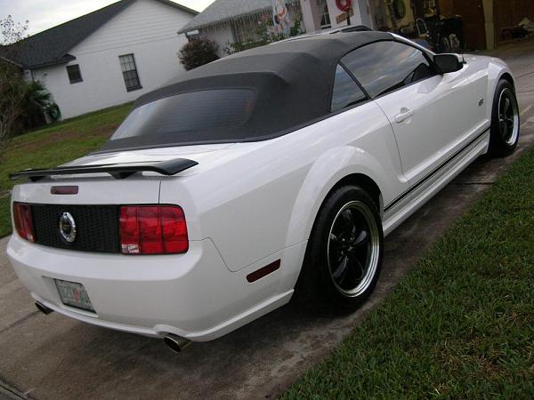 Ponies on The Run!-dscn4708.jpg