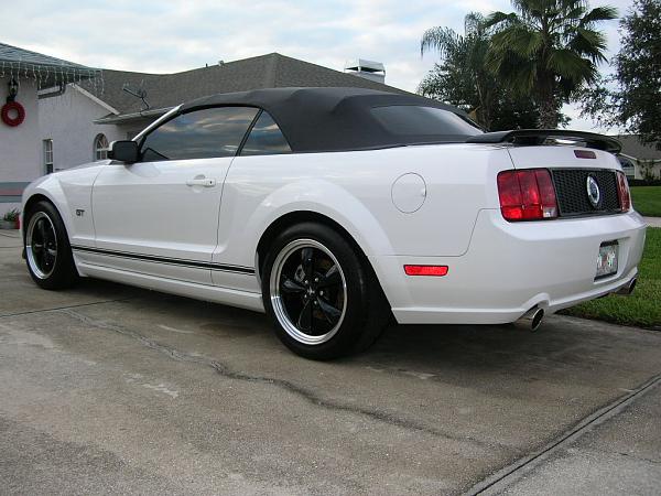 Ponies on The Run!-dscn4698.jpg