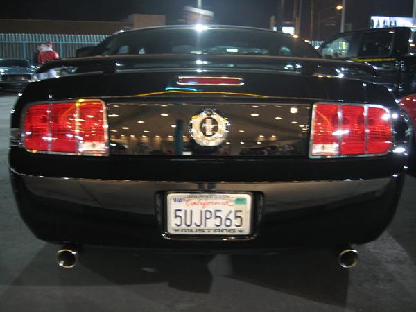 Ponies on The Run!-img_1829m.jpg