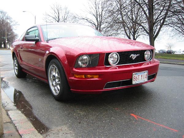 Ponies on The Run!-front.jpg