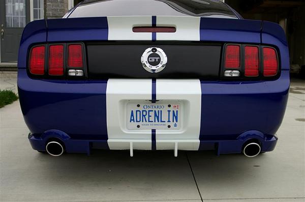 Ponies on The Run!-adrenlin.jpg