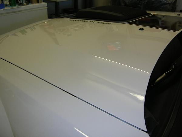 Ponies on The Run!-dscn5059.jpg