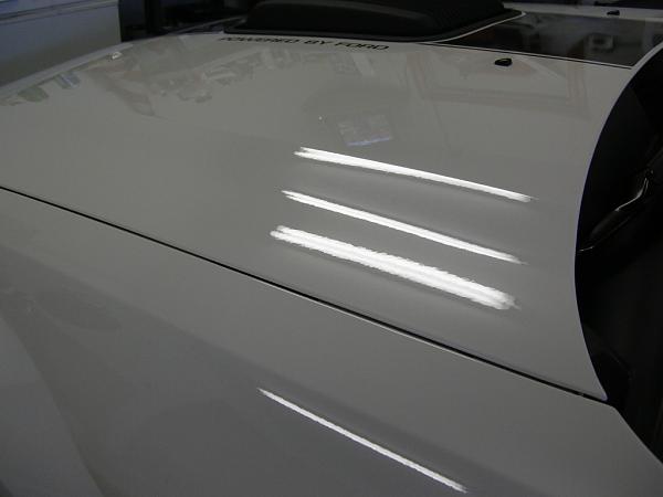 Ponies on The Run!-dscn5062.jpg