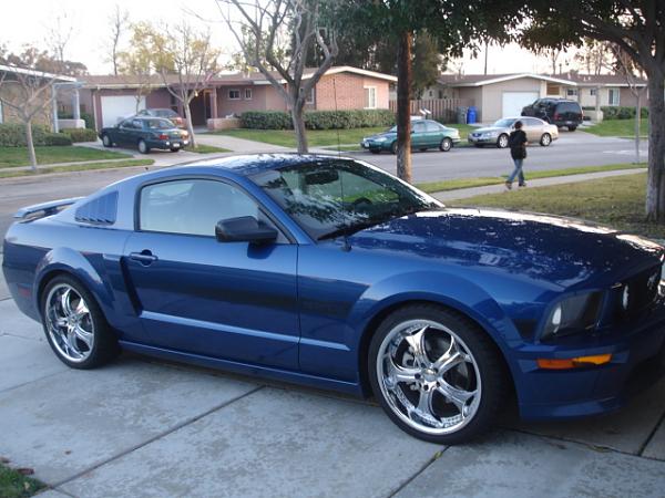 Ponies on The Run!-dsc01414.jpg