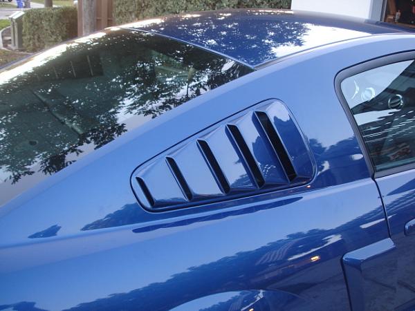 Ponies on The Run!-dsc01415.jpg