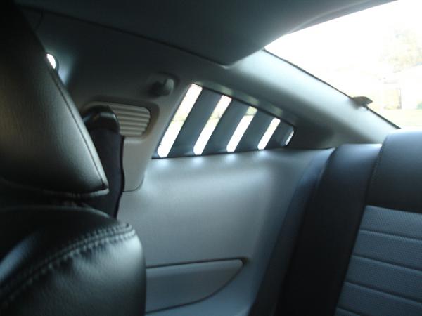 Ponies on The Run!-dsc01416.jpg