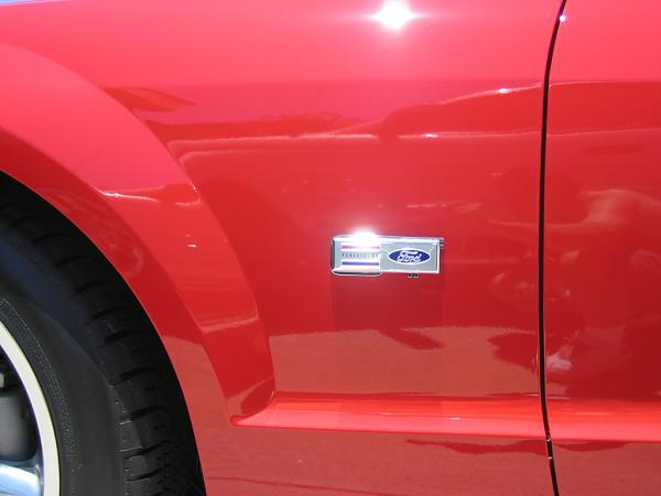 Ponies on The Run!-img_1207.jpg