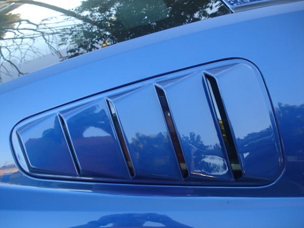 Ponies on The Run!-dsc01424.jpg