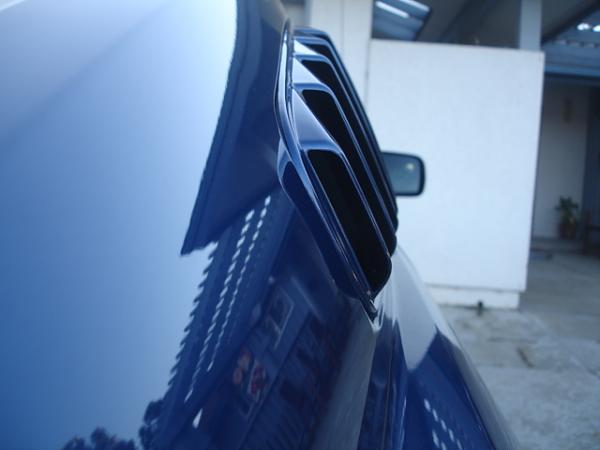 Ponies on The Run!-dsc01425.jpg