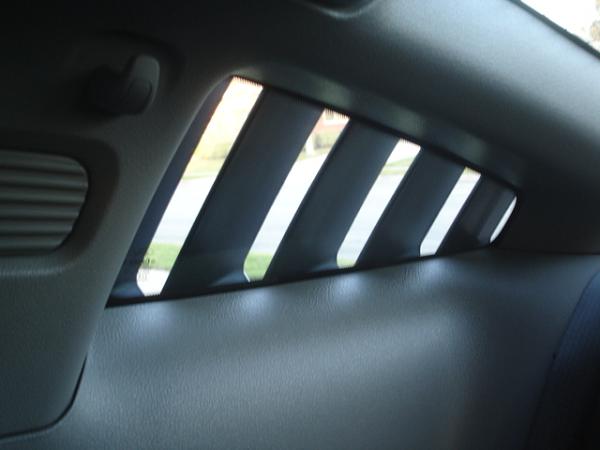 Ponies on The Run!-dsc01426.jpg