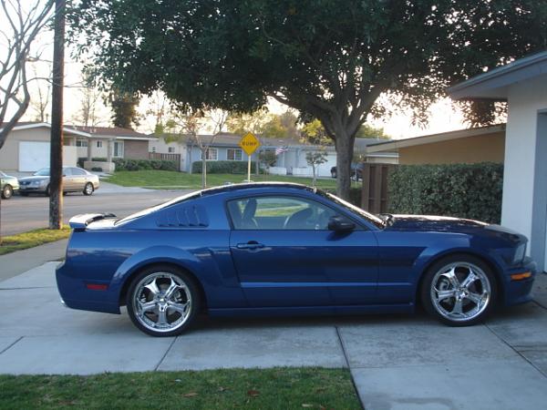 Ponies on The Run!-dsc01429.jpg