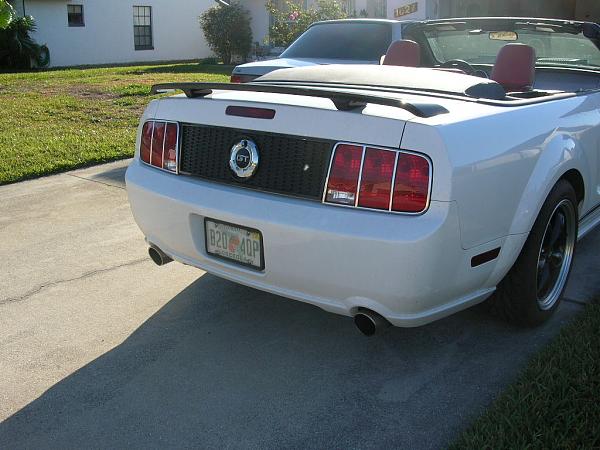 Ponies on The Run!-dscn5068.jpg